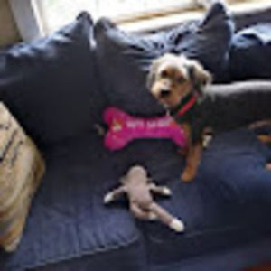 Meet your Posher, Brandy